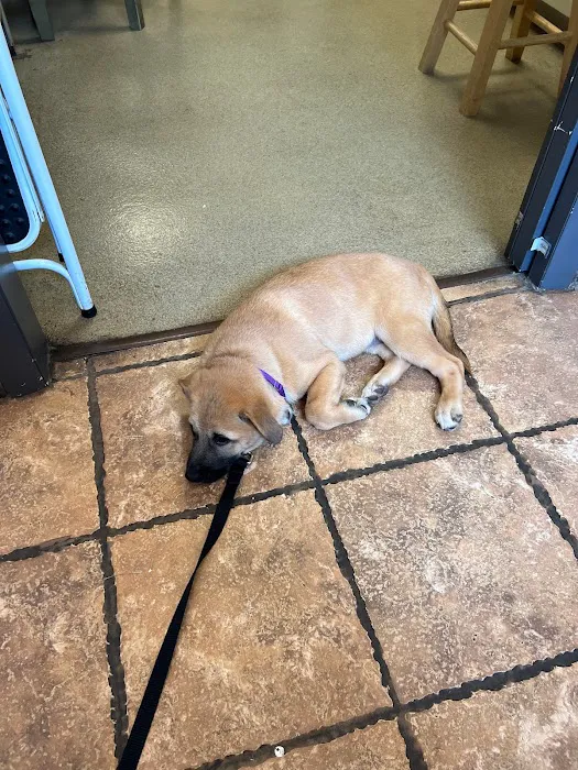 Animal Care Centers Picture 9