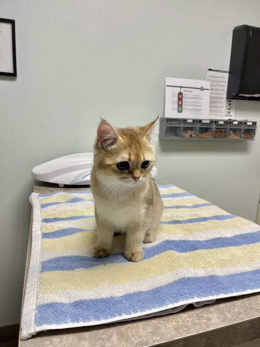 Animal Care Centers Picture 5