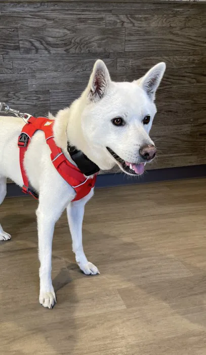 Animal Care Centers Picture 3