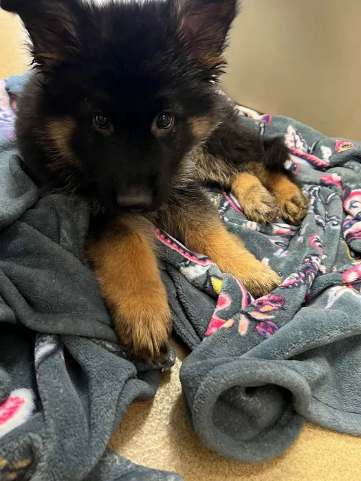 Animal Care Centers Picture 1