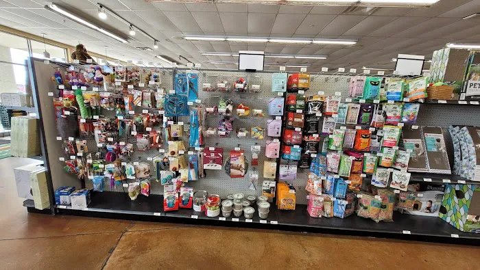 Hollywood Feed Picture 10