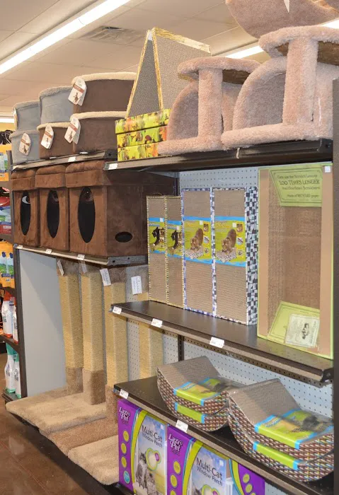 Hollywood Feed Picture 6