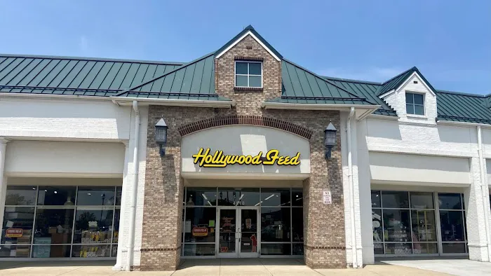 Hollywood Feed Picture 5