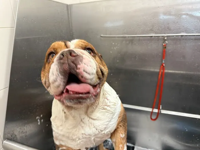 Hollywood Feed Picture 4