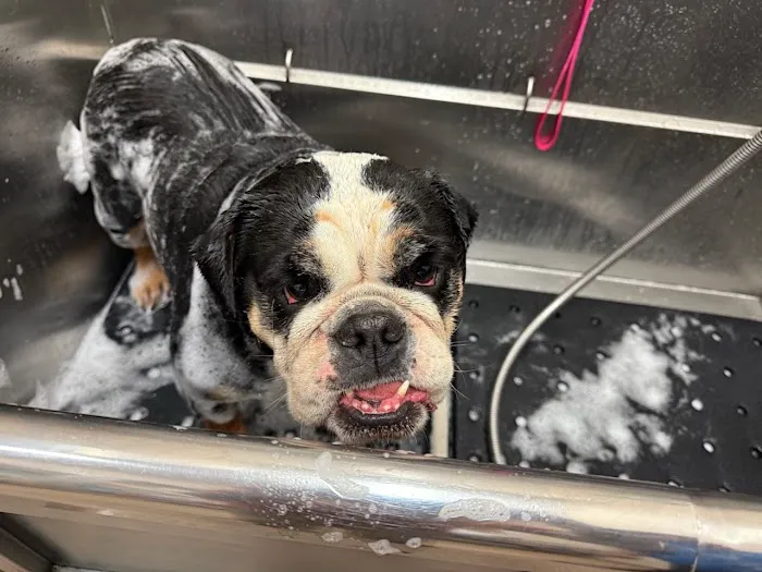 Hollywood Feed Picture 7