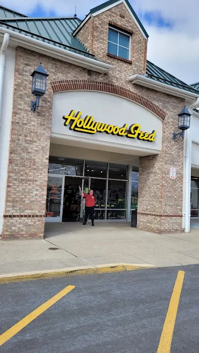 Hollywood Feed Picture 3