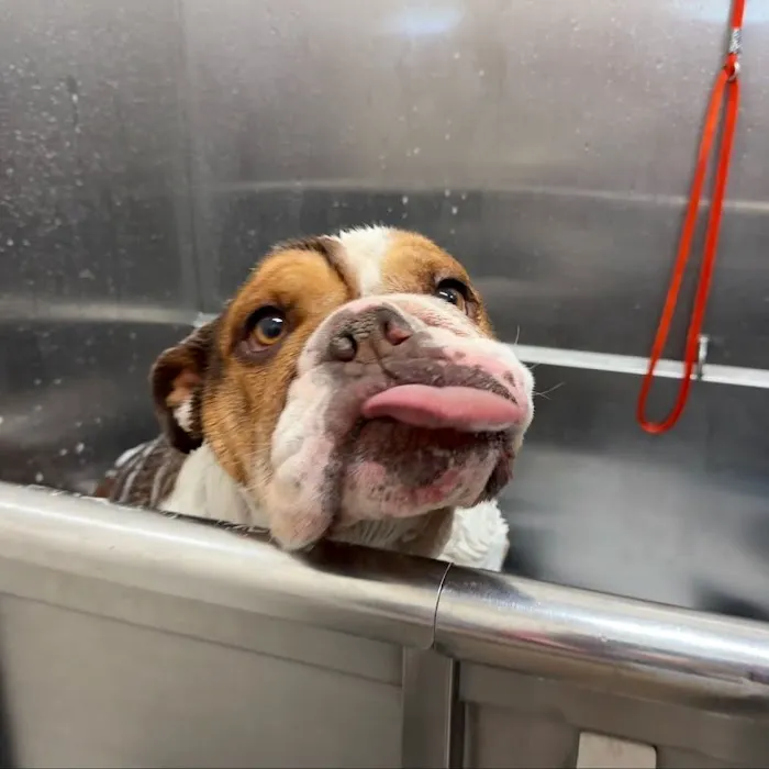 Hollywood Feed Picture 9