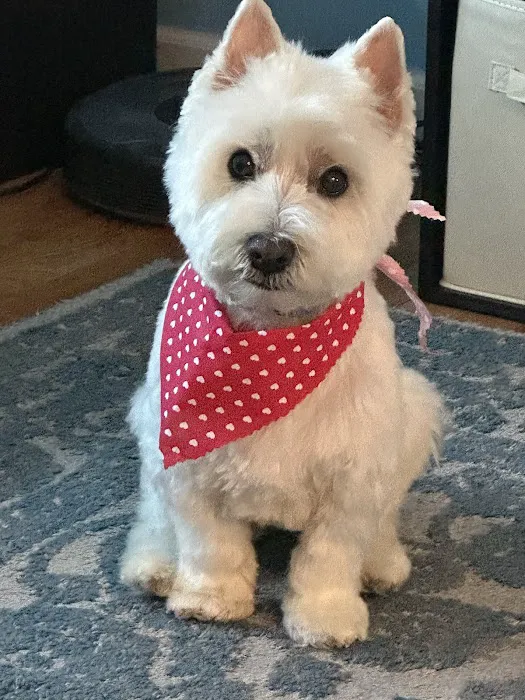 Flanders Veterinary Clinic Picture 9