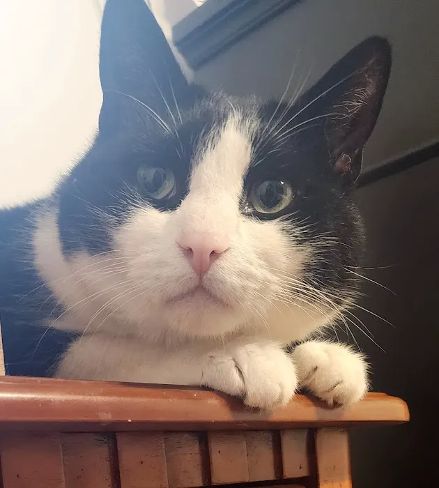 Flanders Veterinary Clinic Picture 8