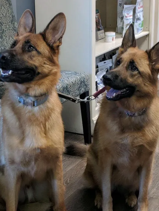 Long Valley Animal Hospital Picture 7