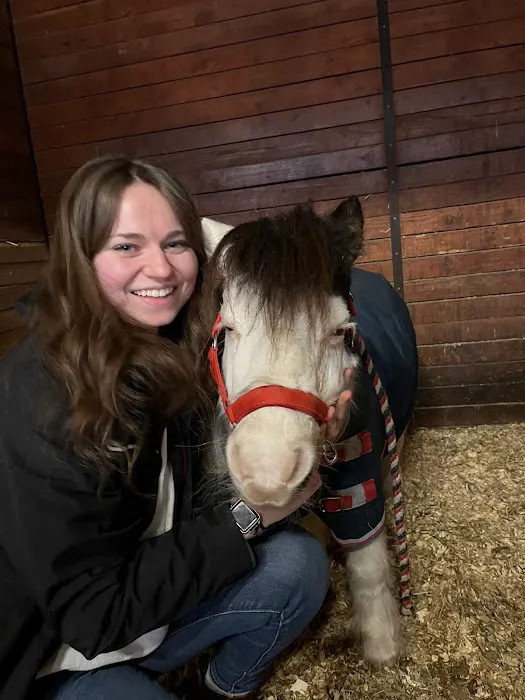 Mountain Pointe Equine Vet Services Picture 4