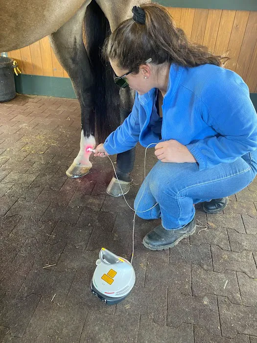 Mountain Pointe Equine Vet Services Picture 1