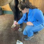 Mountain Pointe Equine Vet Services