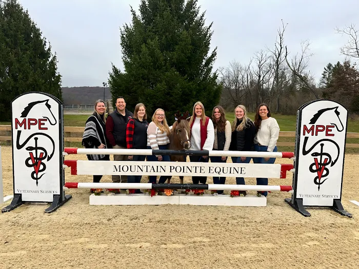 Mountain Pointe Equine Vet Services Picture 5