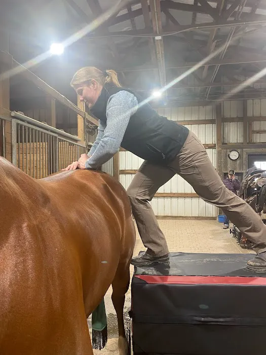Mountain Pointe Equine Vet Services Picture 3