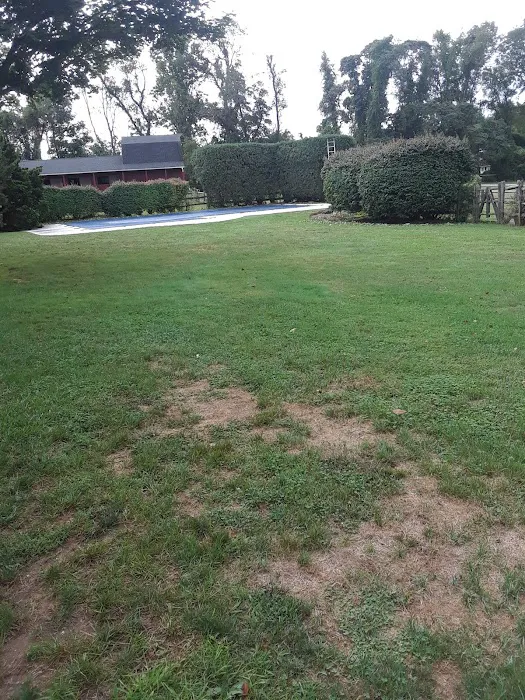 Running S Equine Veterinary Picture 2