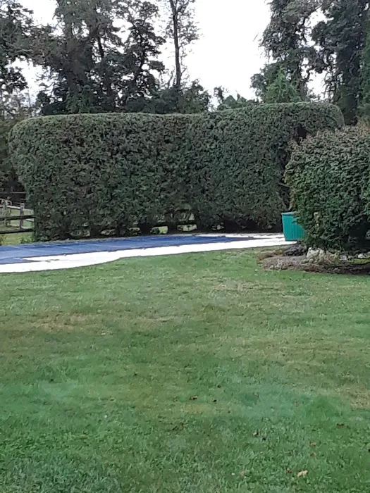 Running S Equine Veterinary Picture 4