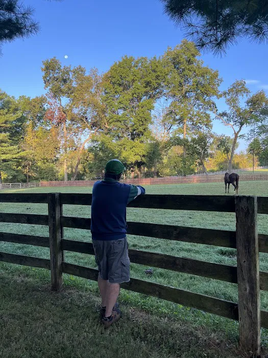 Equiheart Veterinary Services, LLC Picture 5