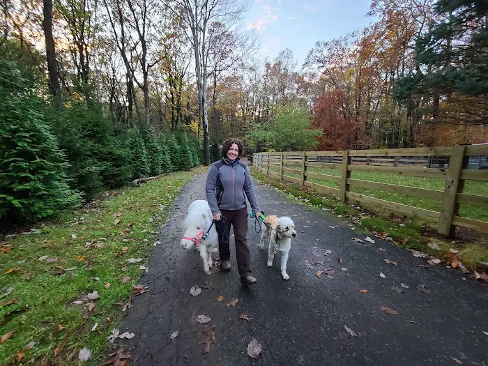 Equiheart Veterinary Services, LLC Picture 7