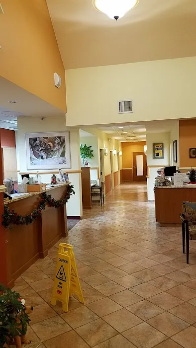 Crown Veterinary Specialists Picture 8