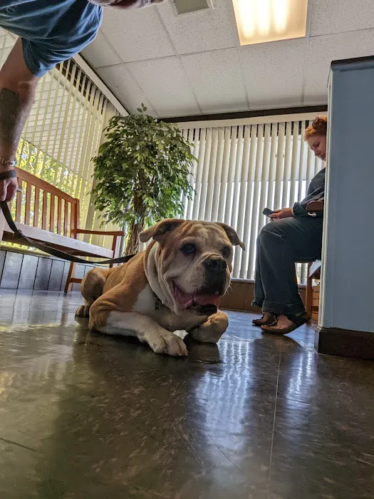 Round Valley Animal Hospital Picture 2