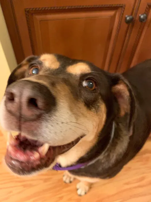 Round Valley Animal Hospital Picture 8