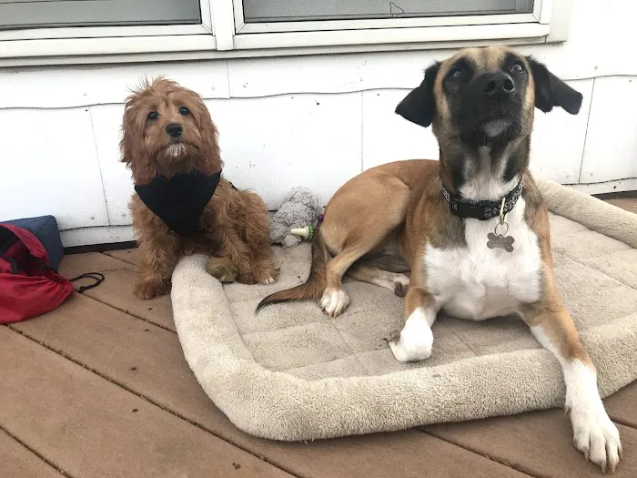 Round Valley Animal Hospital Picture 7