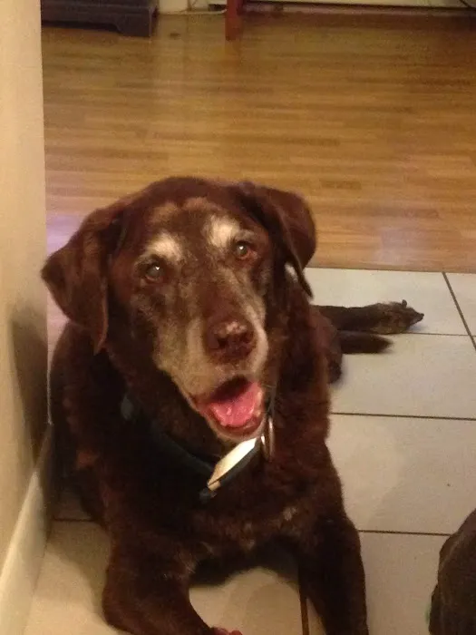 Round Valley Animal Hospital Picture 10