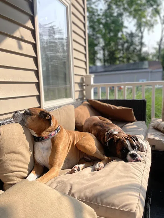 Round Valley Animal Hospital Picture 6