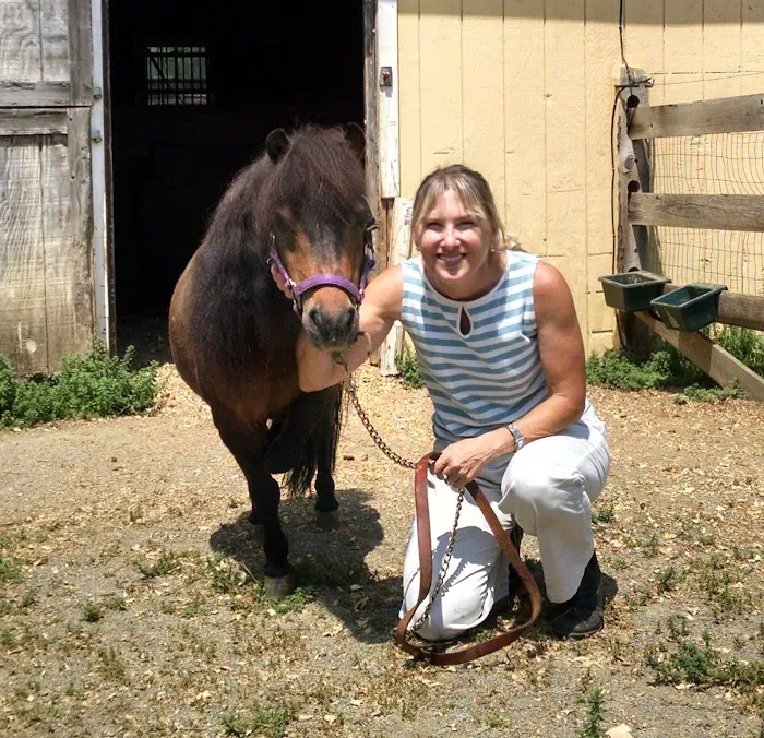 Califon Animal Hospital Picture 4