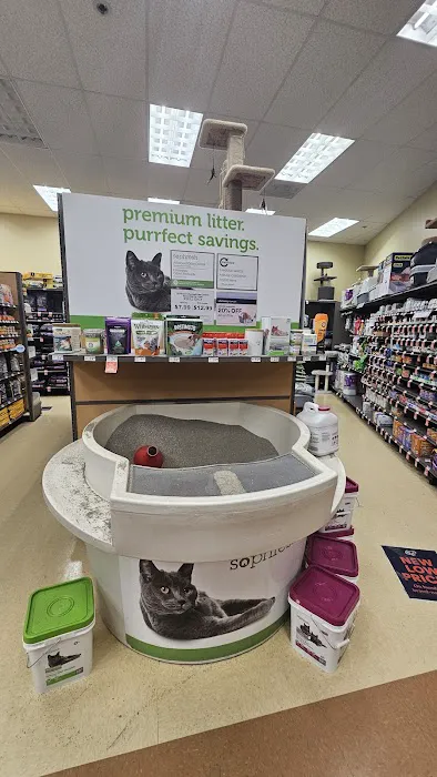 Petco Picture 5