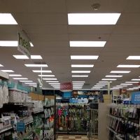 Petco ico