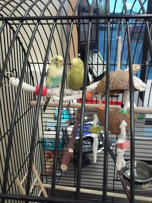 Petco Picture 2