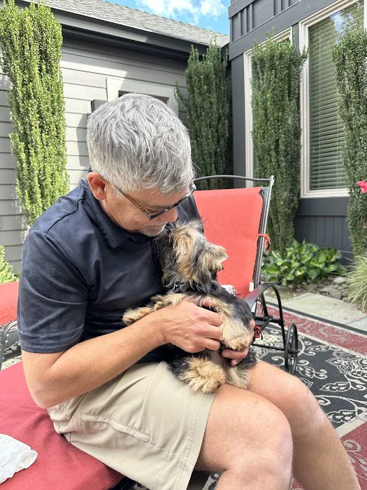 The Yorkie Collection Picture 7