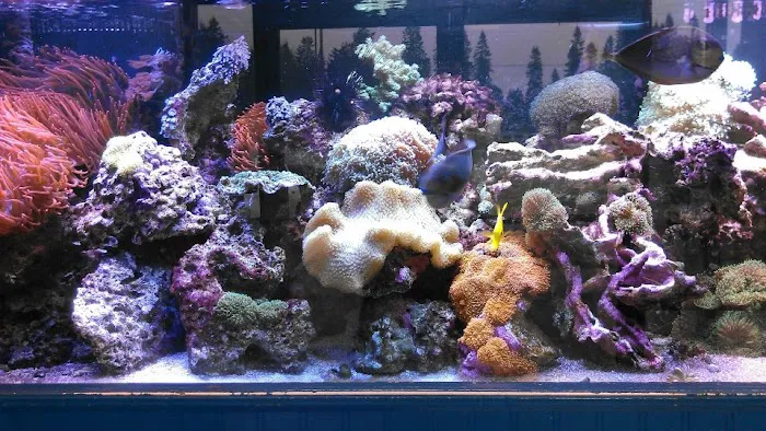 World of Wet Pets Picture 2