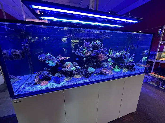 Upscales-Fish & Reptiles LLC Picture 2