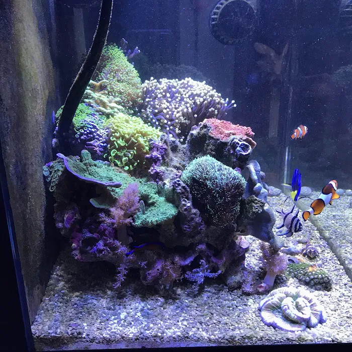 Upscales-Fish & Reptiles LLC Picture 8
