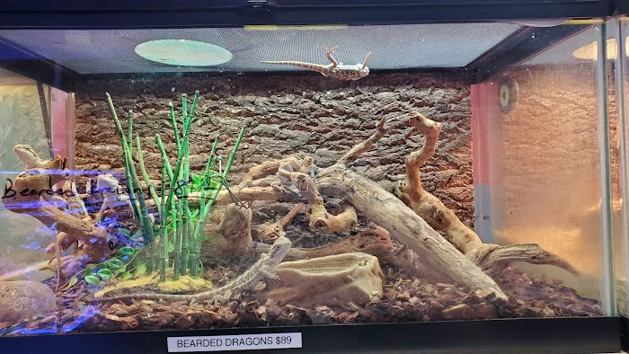 Upscales-Fish & Reptiles LLC Picture 6