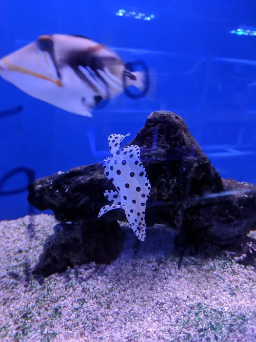 Upscales-Fish & Reptiles LLC Picture 10