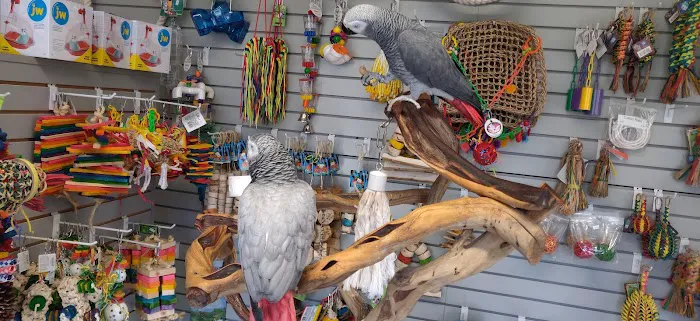 BiZee Bird Store Picture 6