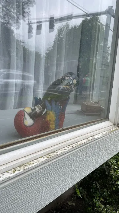 BiZee Bird Store Picture 3