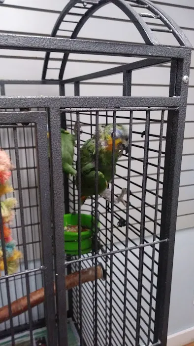 BiZee Bird Store Picture 2