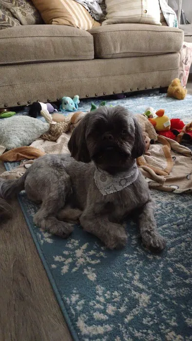 Pet Partners Inc Picture 10