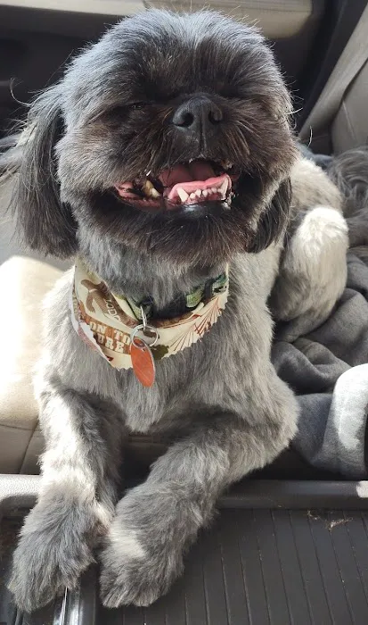 Pet Partners Inc Picture 6