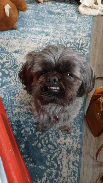 Pet Partners Inc Picture 9