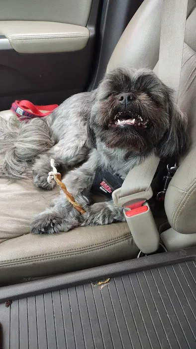 Pet Partners Inc Picture 8