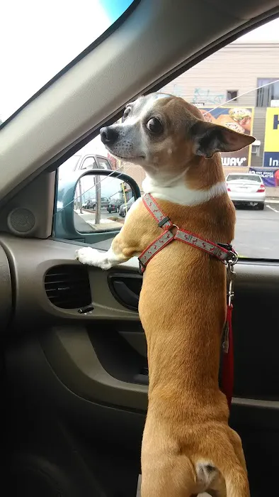 Pet Partners Inc Picture 3