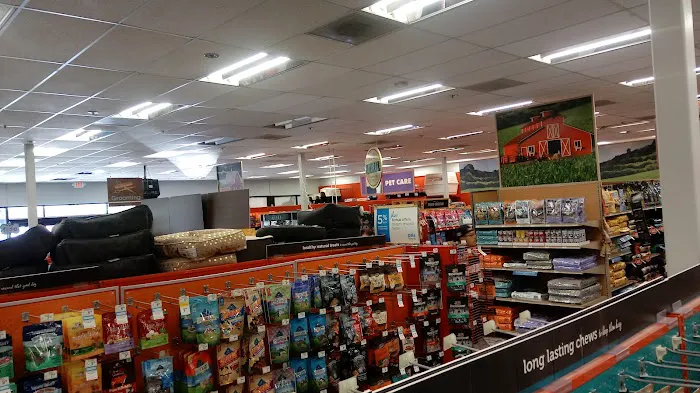 Petco Picture 3