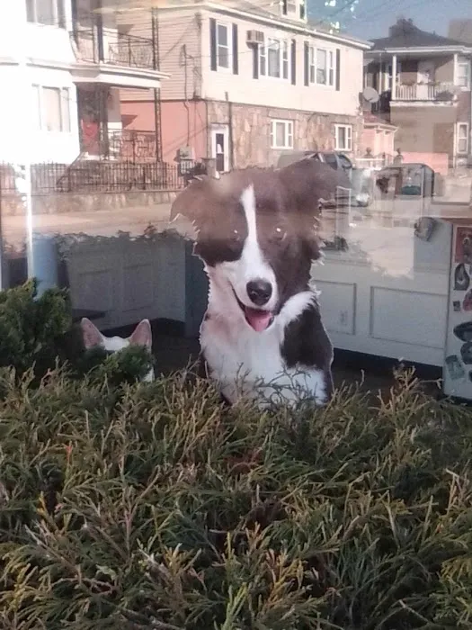 Fall River Animal Hospital Picture 1