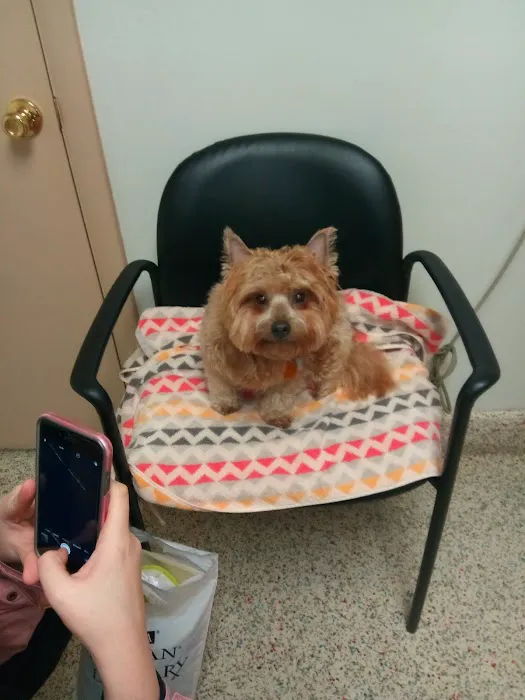 Fall River Animal Hospital Picture 3